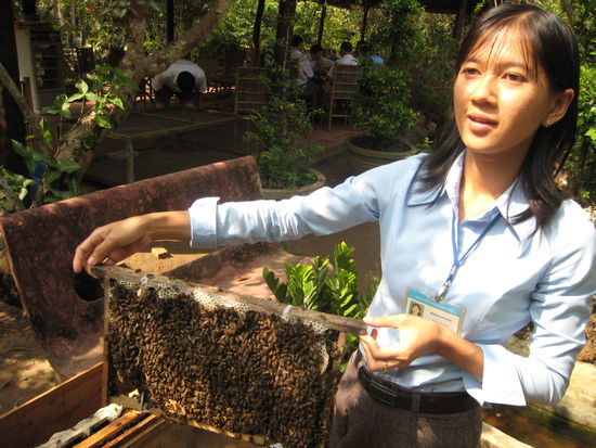 stop an einer bienenzucht. na, papa, die maedels hier brauchen irgendwie keinen imkeranzug... doch der honig war natuerlich nicht vergleichbar mit dem aus dem schwarzwald 