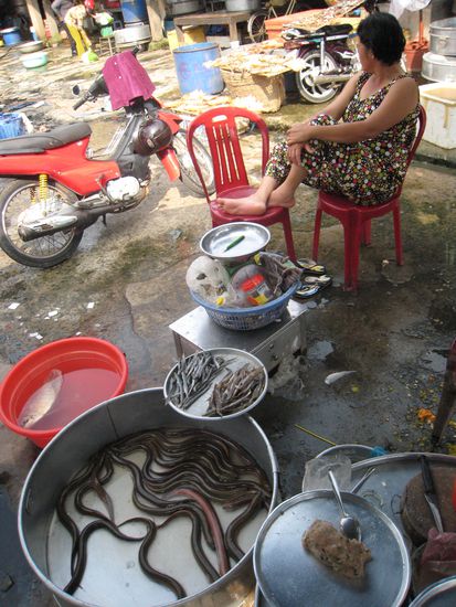 und die aale waren auch noch uebrig (lebend)