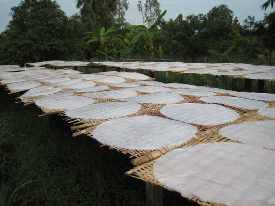 der brei trocknet als fladen 3-4 stunden in der sonne und wird dann zu nudeln geschnitten