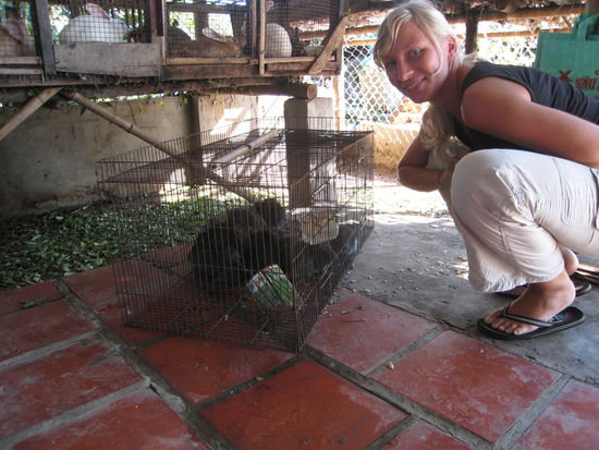 zum beweis (fuer mama : hier die ratten.