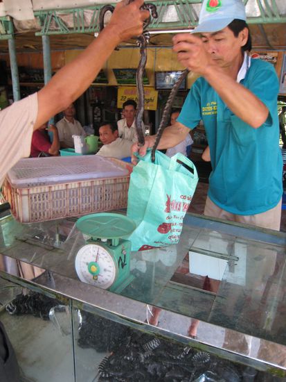 und nochmals fuer alle zweifler, die nicht ganz wahrhaben wollen, wie sehr schlangen hier an der tagesordnung sind: hier kaufte grad einer nen sack voll. alles ganz easy.