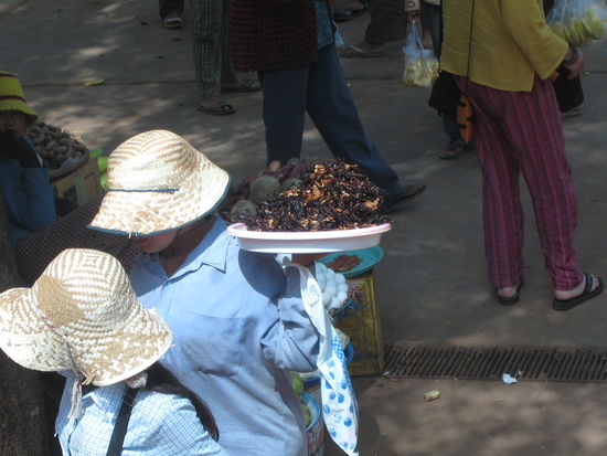 ...frittierte riesen-spinnen als snack verkauft wurden. seid froh, dass es keine nahaufnahme geworden ist, ich war zu spaet mit der kamera!  wir haben ganz konservativ ne ananas gekauft.