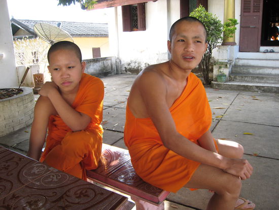 nachdenklichkeit auf die frage warum sie moench sein wollten