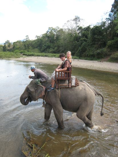 es schaukelt kraeftig und aus lauter "aufregung" musste unser elefant auch noch sein geschaeft erledigen.