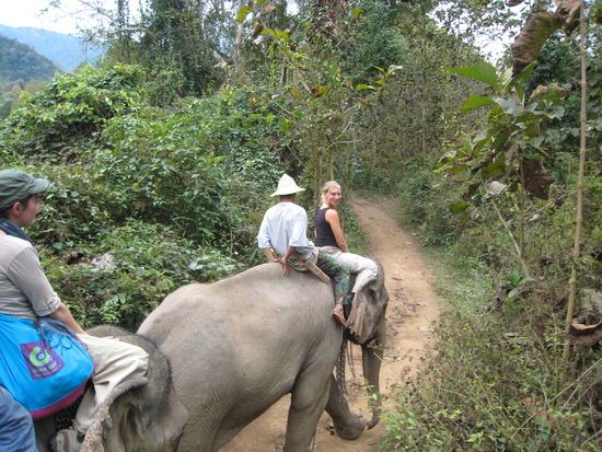 man muss das mal gemacht haben, um zu verstehen wie toll das ist!