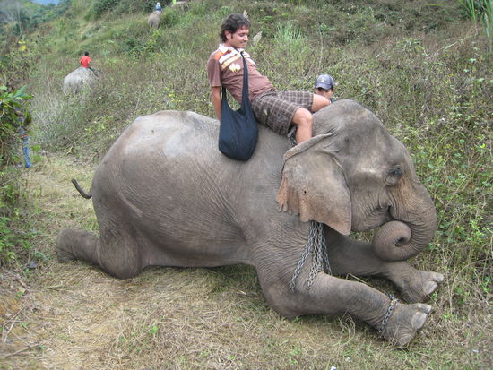 benjamin bluemchen und otto