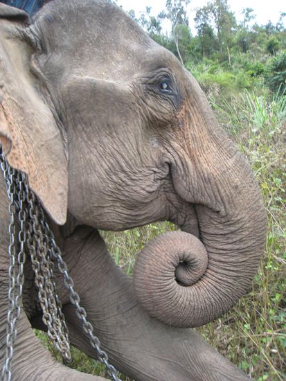 snapshot (ihr seht das blinde auge)