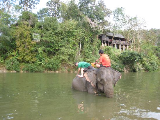 chris nahm seinen job ernst und der (weibliche) elefant hofft sicher schon, dass chris noch tiefer schrubbt mit seiner buerste...