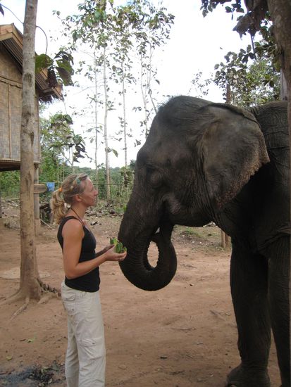 diskussion um die letzte banane vor dem abschied nehmen...