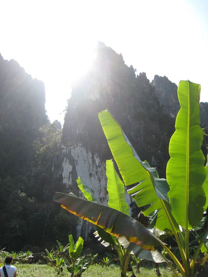 ...vorbei an bananenplantagen...