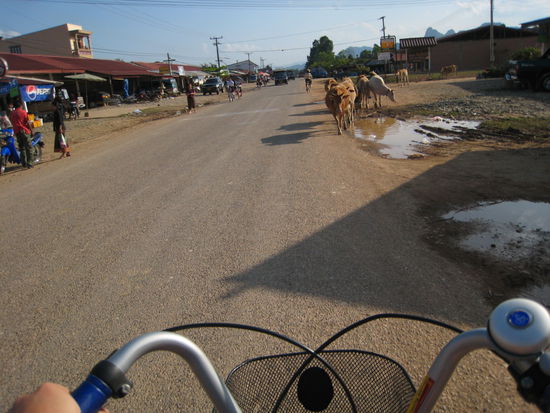 ...dabei muss man ab und zu den braunen spaziergaengern rechts ausweichen, was in laos schon mal vorkommen kann.