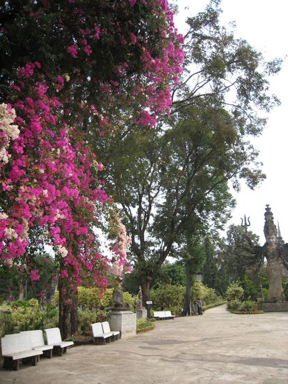 und nochmals mit bluehendem busch