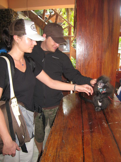 der affe scheint spass zu haben finde ich