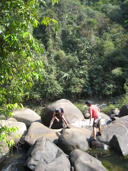 doch vorher suchte roland noch nen frosch