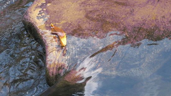 ansichten (weil mein foto so schoene einstellungen hat und man nichts zu tun hat wenn alle schlafen und sich nicht mit mir beschaeftigen...)