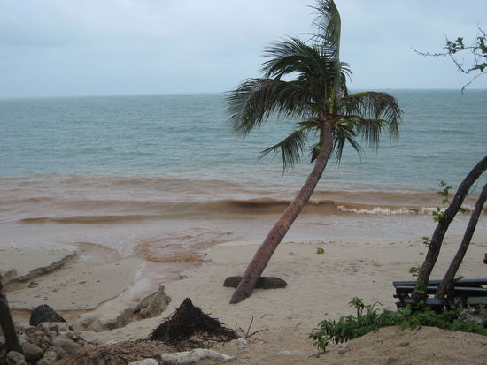 Nichts mehr zu sehen vom türkisen Wasser. Unsere Traumpalme biegt sich am Strand.