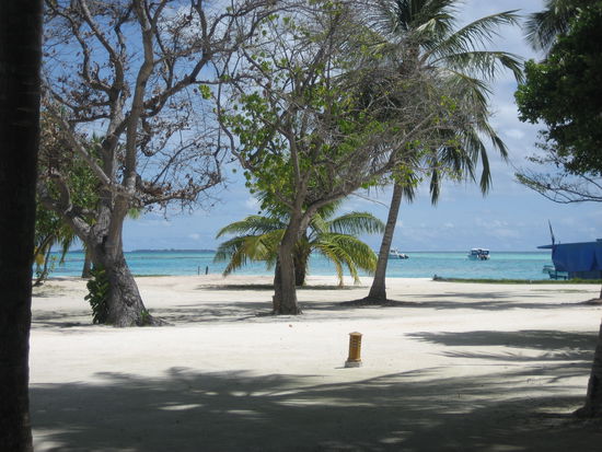 Der Vorplatz vor der Rezeption!