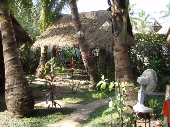 Blick in den Garten des Guesthouses.