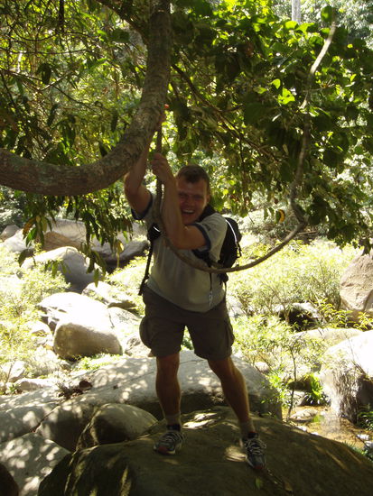 Tarzan fuer Anfaenger