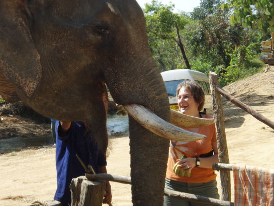 Simone bei ihrer zweiten Lieblingsbeschaeftigung (nach Elephantenreiten)