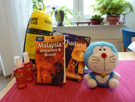 Mückenschutz, Reiseführer und unsere Keinohrkatze kommen mit