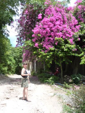 Koh Tao - Der Weg in die "Stadt"