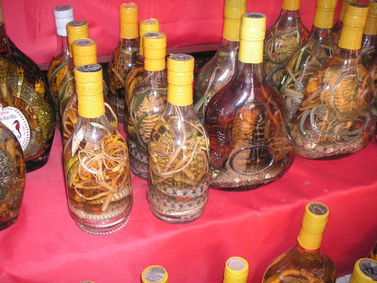 Snake Whisky in Laos 