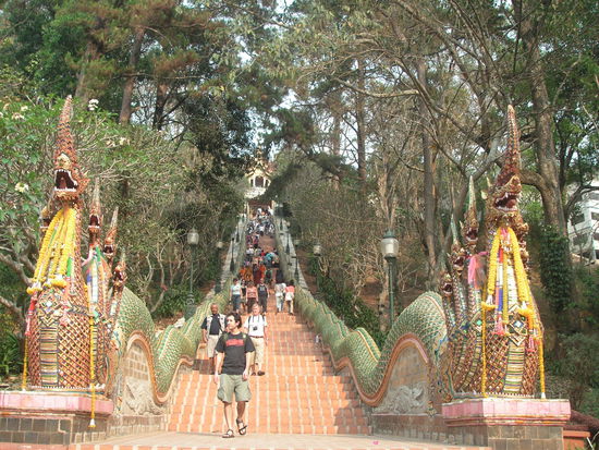 die Fussstrecke zum Doi Suthep 
310 Stufen