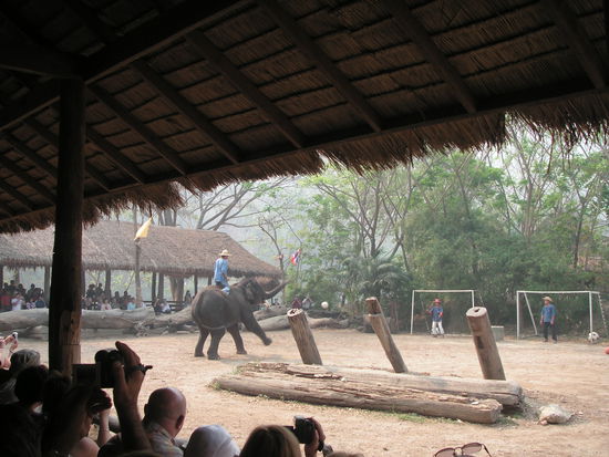 Kick it like Beckham