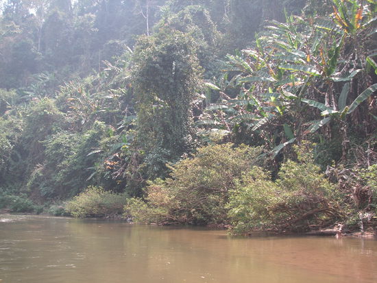 auf Floosfahrt durch den Dschungel