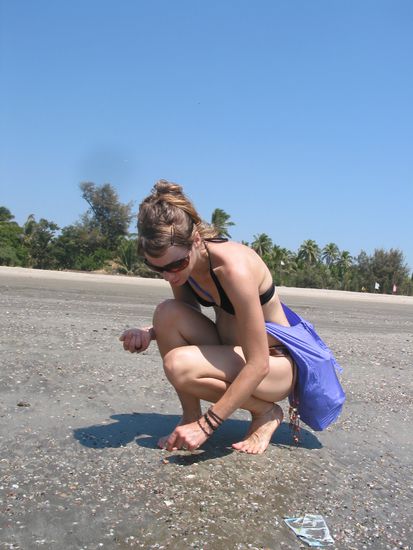 Müscheli sammeln...