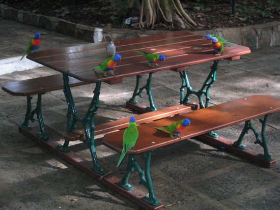 Wer bringt uns etwas zu essen?