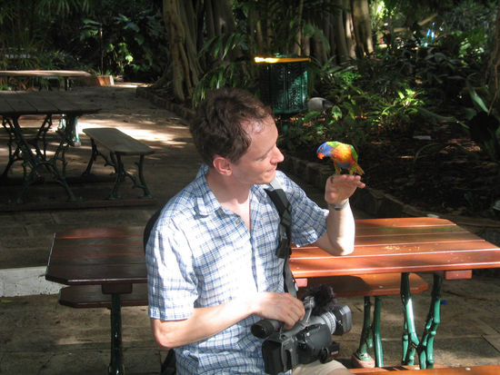 Gegenseitige Begutachtung...