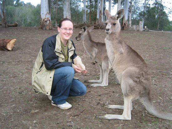 Happy Roos! (Roo = Känguruh)