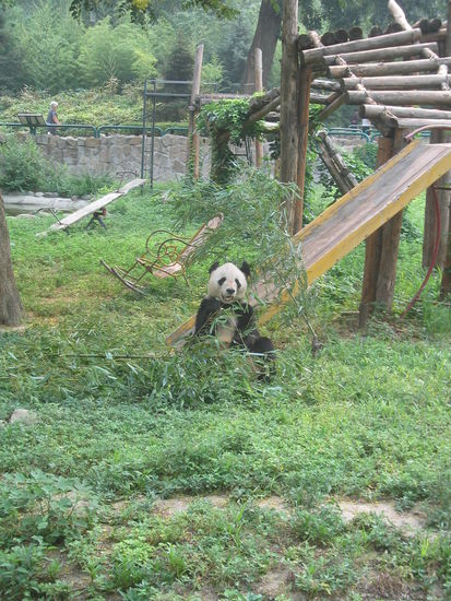 ... und einen Schaukelstuhl!