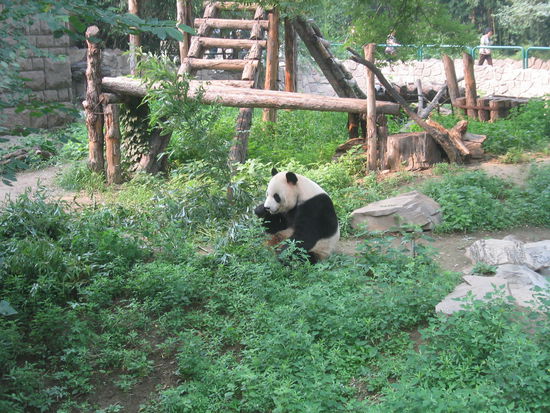 Hier hat er sich mit der Situation abgefunden