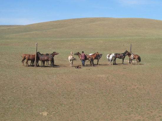 Bereit für den Ausritt