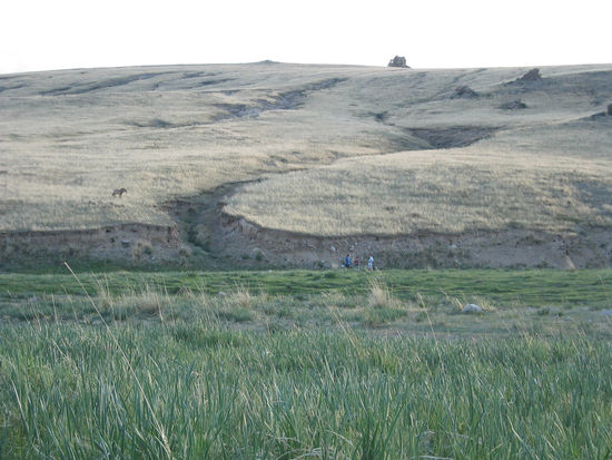 Hengst Zerleg und Touristen ums Wasserloch