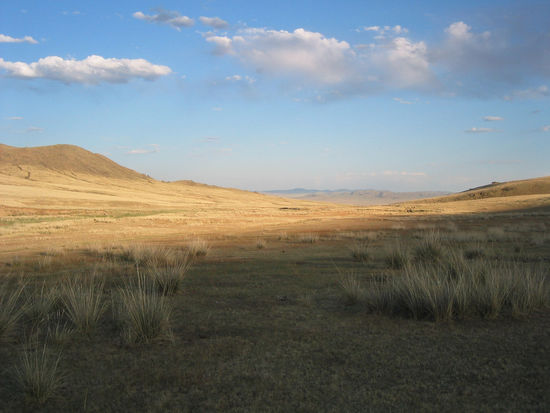 Fantastische Abendstimmung!