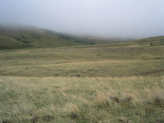 Ein paar Tage später war es neblig ...
