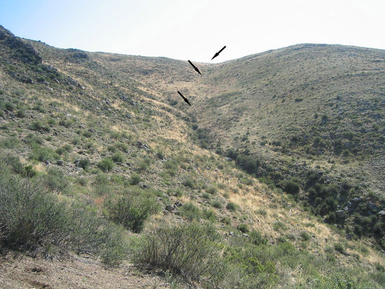 Verzweiflung machte sich bei mir breit, als die Takhi davongaloppierten...