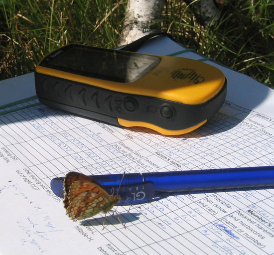 ... die sich auch mal auf meine Notizen setzten, ...