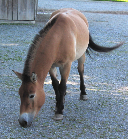 Eine Nahaufnahme zum Abschluss...