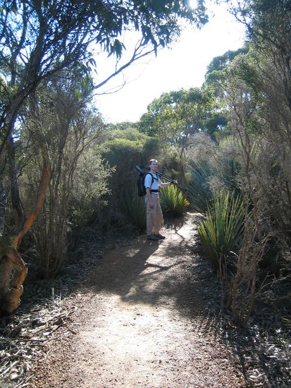 Auf dem Weg zum Schnabeltier