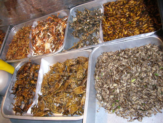 das lecker Krabbelgetier... von oben links: Mehlwurm, Krebs, Heuschrecke (auf indonesiche Art  ) Seidenraupe, Skorpion, KAKERLAKE, unbekannt - aber alles seeeeeeehr lecker... (wuuuuuerg...)