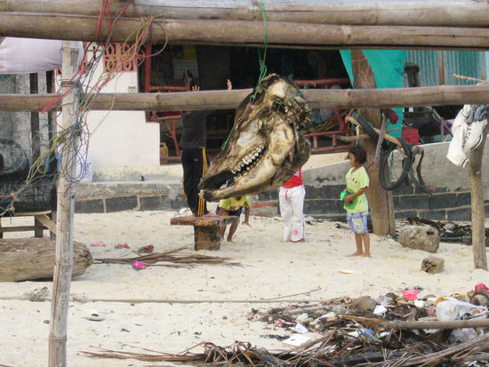 oder etwas besser Abgehangenes ?