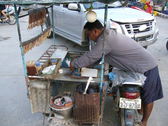 ..oder getrocknete und geplaettete Sepia