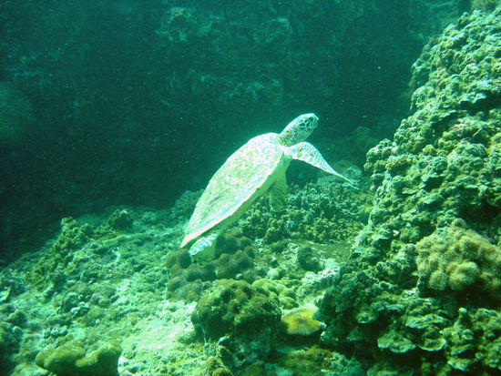 nicht aus dem Katalog - nein vor unserer Nase...