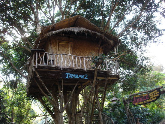 Ich Trazan - DU Jane  (man beachte die Plobleme mit dem R...