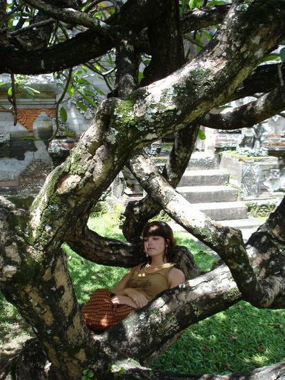 oTon: ich will auch so einen Meditationsbaum....